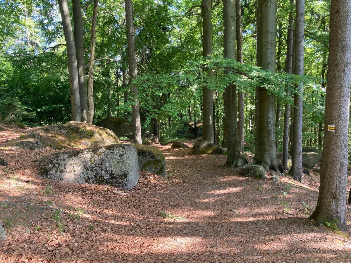 Vila Chalupa Strelenka Janov nad Nisou Exteriér fotografie